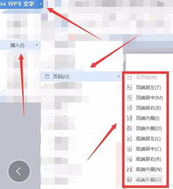 WPS中如何插入页码以及设置页码格式