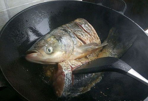 教你在家做铁锅炖鱼,简单易学,鱼肉嫩弹,酸甜开胃又不失鲜香 清水 