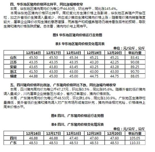 信宜省级论文查重价格