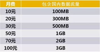 在网上按要求办理了定投业务是当月生效还是次月，购买成功后在那里能看到基金数量？