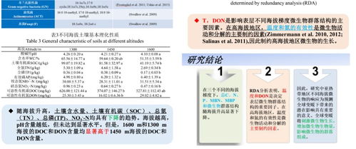 研究报告查重对学术成果的影响