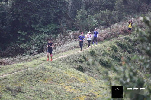 保持热爱,奔赴山野 这一场,敬热爱 敬山野 敬朋友 敬自己