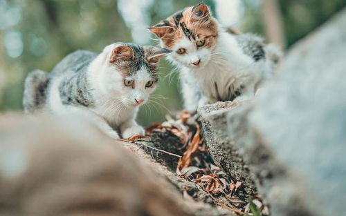 十一月花钱猛如虎,这几个星座却不怕,事业 财运猛涨