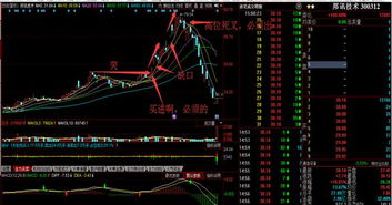 炒股有什么理论是必须学习的呢？