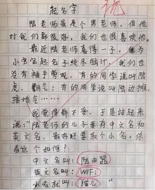 小学生作文 起名字 走红,为帮老师绞尽脑汁,老师看后却想打人