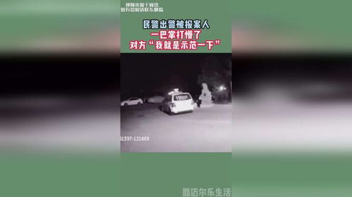 民警出警被报案人一巴掌打懵了,对方 我就是示范一下