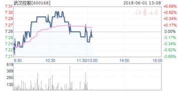 600168武汉控股后市如何操作