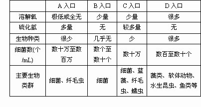 生物等级高体内有机物含量高还是低