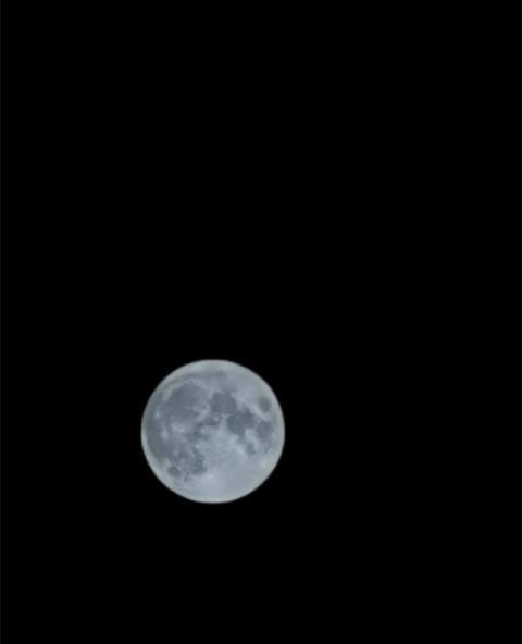 你看今晚的月亮圆圆的 小布的网友带来一大波美图