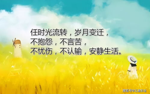 生活感悟文章(感悟生活作文)