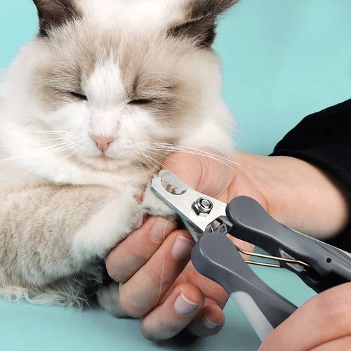 派可为 T9宠物指甲剪 犬猫通用 强力弹簧 修剪更省力
