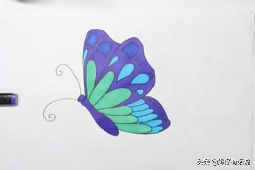 蝴蝶简笔画 如何简笔画一只漂亮的蝴蝶 