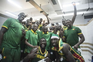 塞内加尔14世界杯世界杯塞内加尔战绩