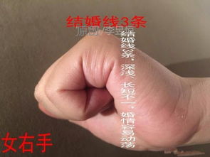 手相中这2条线,关系着婚姻早晚以及好坏