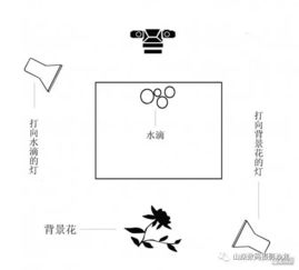 漂亮水珠 微距拍摄技巧