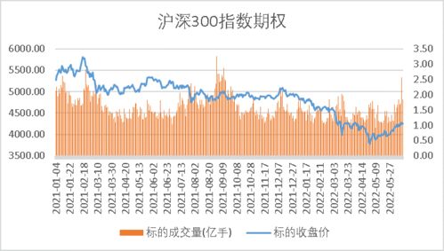 期权管理系统