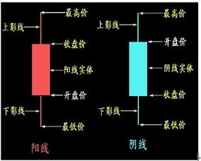 如何學習抄股票的要領