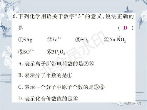 小专题6 化学符号周围数字的含义