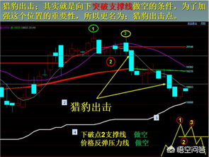 期货怎么做长线可以挣钱