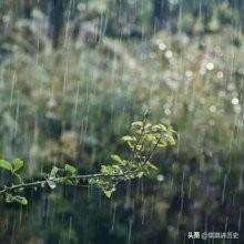 下雨前的自然现象谚语 下雨前的征兆的谚语有哪些