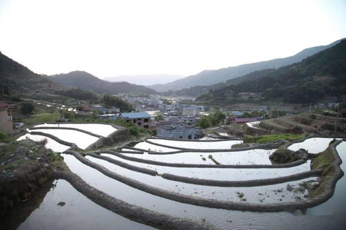 雪峰诗韵 家乡的雾茅洞