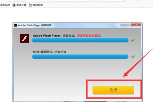 Adobe Flash Player