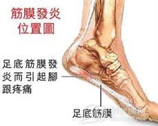 脚里面骨头经常疼痛是什么原因 