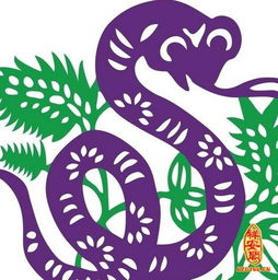 李居明属蛇的人2016年运程