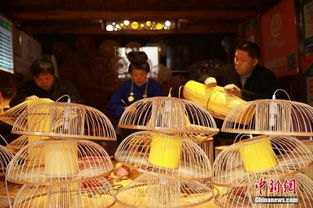 广西小镇青年短视频直播带火家乡鸟笼产业 