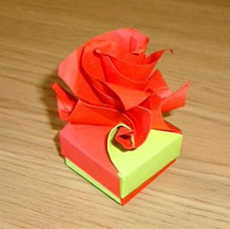 折纸玫瑰花盒子的折法视频详解教程 