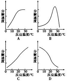 谁会这道题 胰蛋白酶作用于一定量 