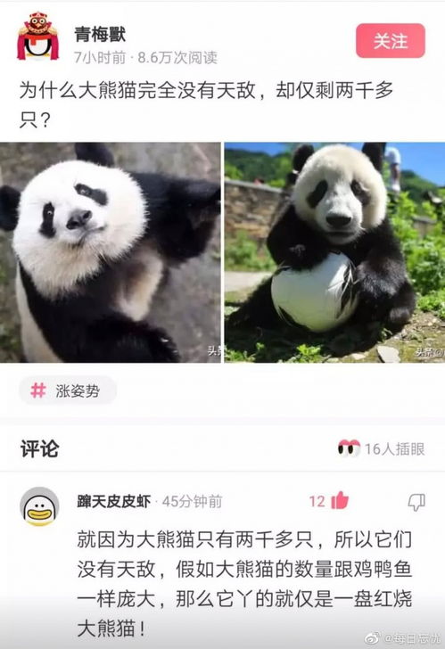大熊猫的天敌是什么