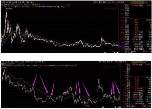 我在美囯易沃购买的产品积分能转成股票买卖吗？