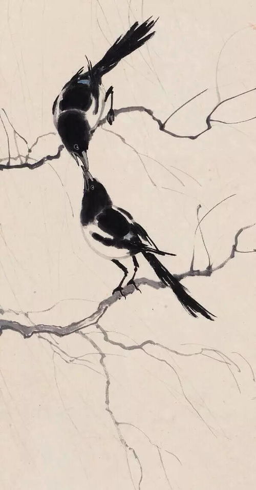 中国画 鸟的技法 喜鹊的画法