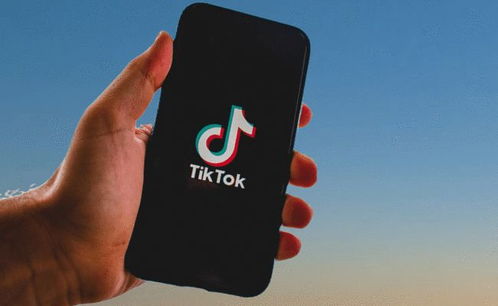 tiktok国际怎么玩_TikTok广告账户 购买