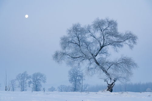 落在一个人一生中的雪,我们不能全部看见