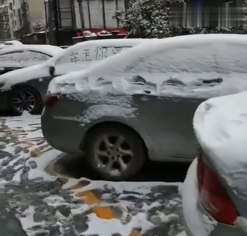 下雪了出来皮一下,各位车主还好吗 