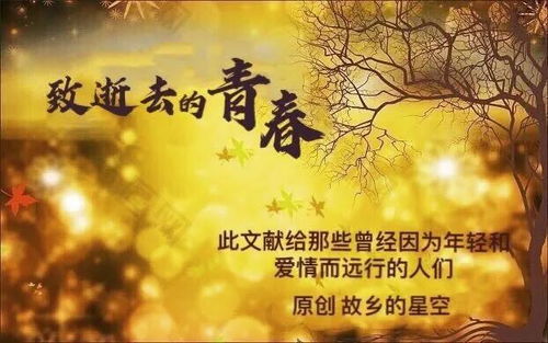 致逝去的青春 二十四