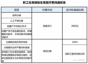 医疗保险制度大病报销制度医保大病报销政策