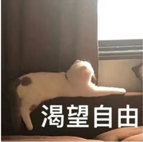 隔壁邻居突发猝死,我不禁害怕起来了...