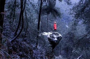 冷冷冷 重庆多个景区大面积降雪,美不胜收 约吗 