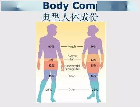 男24身高180体重70kg。体脂百分数21.5超标很多！骨骼肌比较低... 请问是什么原因，为什