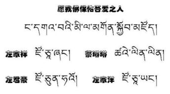 汉字翻译藏文 
