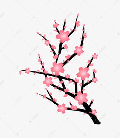 手绘粉色的梅花插画素材图片免费下载 千库网 
