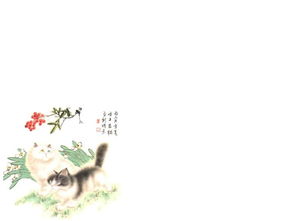 可爱动物猫咪保护动物ppt动态模板 米粒分享网 Mi6fx Com