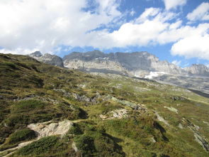 阿尔卑斯山,瑞士,欧洲,旅行,户外,高峰,风景,高,石,碱性磷酸酶,宁静,攀登,洛基,悬崖,范围 