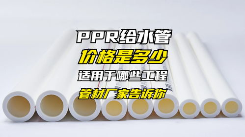 ppr水管价格表零售价(ppr管价位)