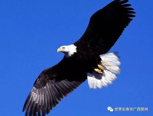 在延绵千载不衰的文脉风水下,这座 状元村 的岩洞也藏着一个流传许久的传说