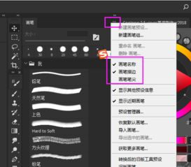 请问ps右侧的笔刷工具可以显示笔刷名字吗 怎么设置 