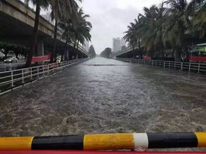 海南的雨还没完 这几天还要下 闷热 潮湿的天气即将来临 